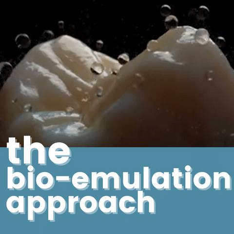The Bio-Emulation Approach