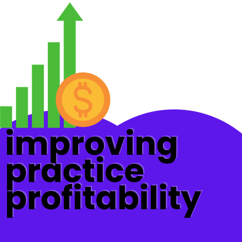 Improving Practice Profitability Through Optimization